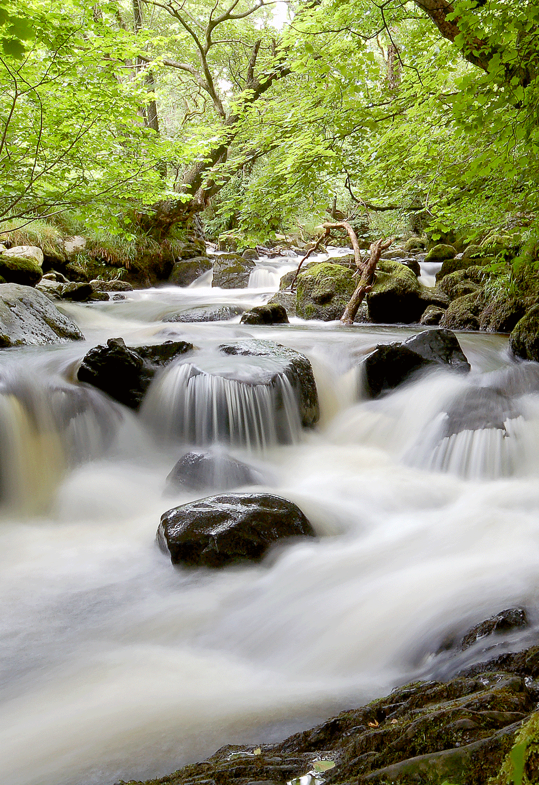 Photograph: Aira Force Waterfall, Penrith. Copyright Ian Legge.
